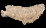 Fulgurite - Petrified Lightening #48369-1